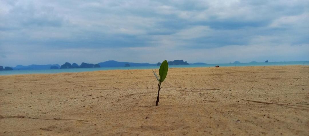 Koh Yao Noi Beach Resort Luaran gambar